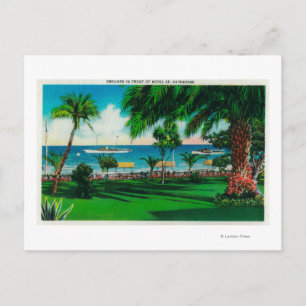 Carte Postale Jardin en face de l'Hôtel St Catherine