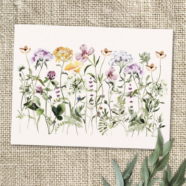 Carte Postale Jardin Fleur sauvage couleur aquarelle (Close up)