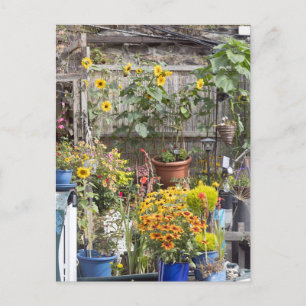 Carte Postale Jardin fleuri et bateau étroit