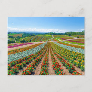 Carte Postale Jardin fleuri   Shikisai No Oka Flower Farm