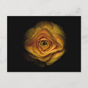 Carte Postale Jardin Fleurs No 74 Version couleur