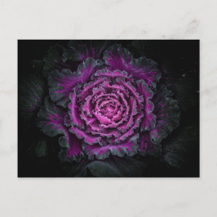 Carte Postale Jardin Fleurs No 99 Version couleur