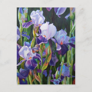 Carte Postale Jardin Flower Iris