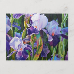 Carte Postale Jardin Flower Iris