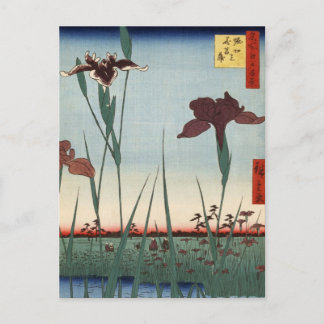 Carte Postale Jardin Horikiri Iris (堀 切 の 花 菖 蒲)