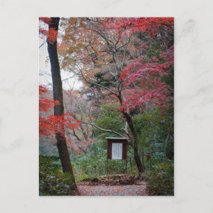 Carte Postale Jardin intérieur du temple Meiji-Jingu