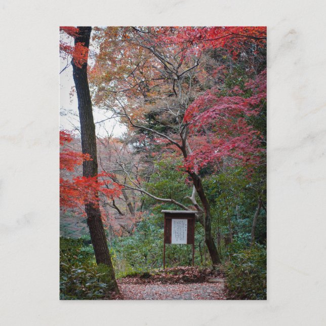 Carte Postale Jardin intérieur du temple Meiji-Jingu (Devant)