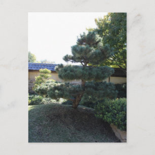 Carte Postale Jardin japonais à Fort Worth Texas # 17