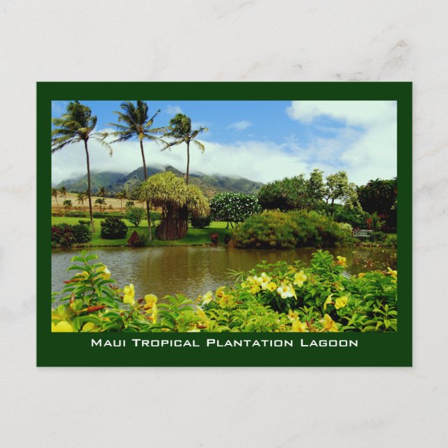 Carte Postale Jardin lagunaire de la plantation tropicale de Mau (Devant)