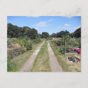 Carte Postale Jardin ouvrier à la campagne