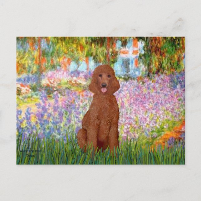 Carte Postale Jardin - Poodle rouge foncé #1 (Devant)