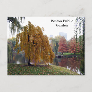 Carte Postale Jardin public de Boston