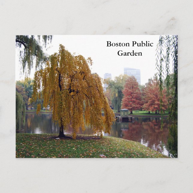 Carte Postale Jardin public de Boston (Devant)