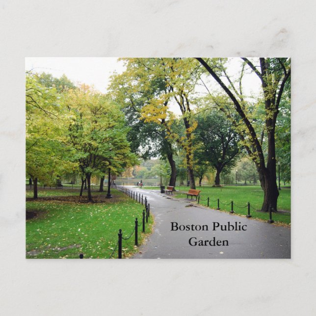 Carte Postale Jardin public de Boston (Devant)