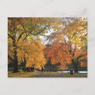 Carte Postale Jardin public de Boston Automne