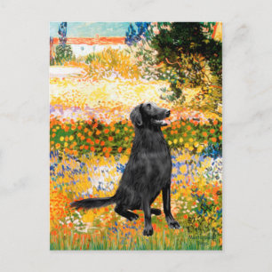 Carte Postale Jardin - Retriever à poil plat