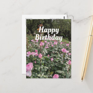 Carte postale Jardin Roses roses Anniversaires