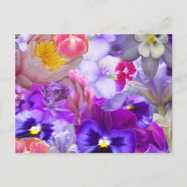 Carte Postale Jardin Rotatif (Devant)