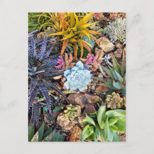 Carte Postale Jardin succulent et vibre