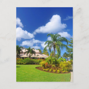 Carte Postale Jardin tropical
