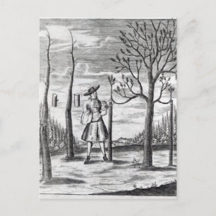 Carte Postale Jardinage et Maladies Plantes