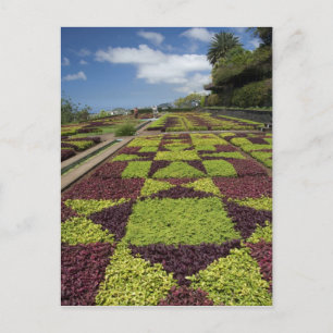 Carte Postale Jardins botaniques, Funchal, îles de Madère,