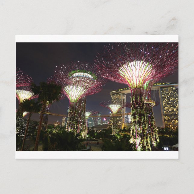 Carte Postale Jardins de la baie de Singapour Supertree Grove (Devant)
