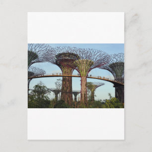 Carte Postale Jardins de la baie Singapore Supertree Grove