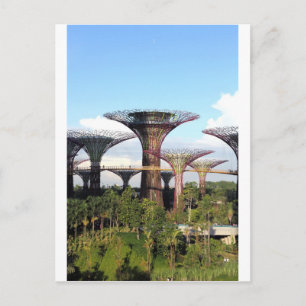 Carte Postale Jardins de la baie Singapore Supertree Grove