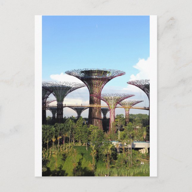 Carte Postale Jardins de la baie Singapore Supertree Grove (Devant)