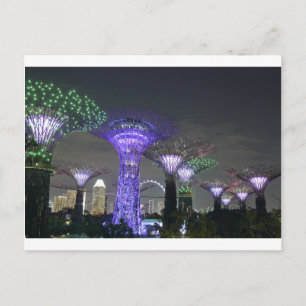 Carte Postale Jardins du spectacle lumineux Bay Supertree Grove