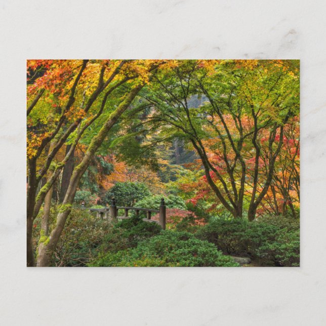 Carte Postale Jardins Japonais En Automne À Portland, Oregon 4 (Devant)