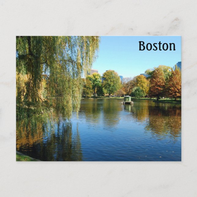 Carte Postale Jardins publics de Boston, Massachusetts (Devant)