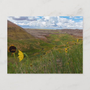 Carte Postale Jaune Mounds Overlook, Badlands NP, Dakota du Sud