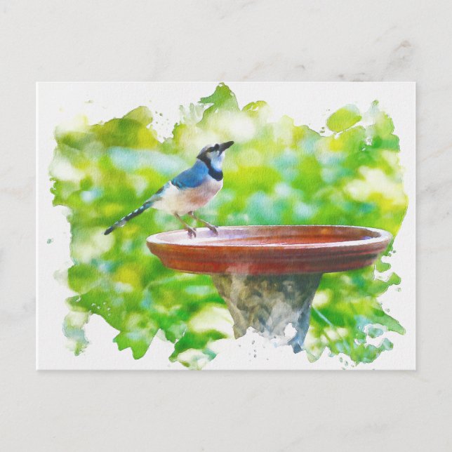 Carte Postale Jay bleu à l'aquarelle du bain d'oiseaux (Devant)