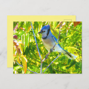 Carte Postale Jay bleu du nord dans l'arbre Nature Custom