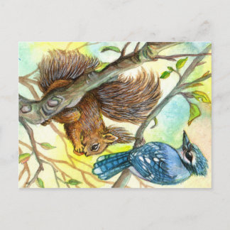 Carte Postale Jay Bleu Et Écureuil