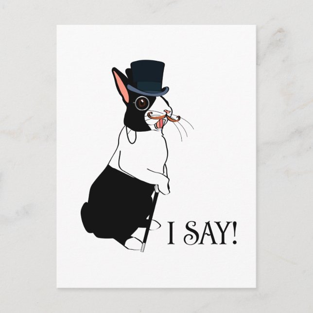 CARTE POSTALE JE DIS : (Devant)