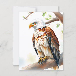 Carte Postale Je Dis Salut. Aigle assis sur une branche