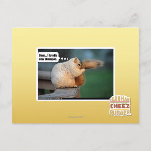 Carte Postale Je luv dis nouveau shampooing