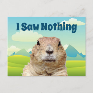 Carte Postale Je n'ai rien vu le jour de la marmotte