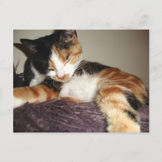 Carte Postale Je ne fais que fermer les yeux ! (Devant)