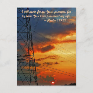 Carte Postale Je n'oublierai jamais vos préceptes, car par eux v