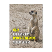 Je peux déjà voir le week-end - suricate