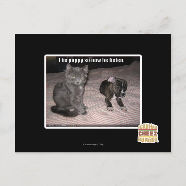 Carte Postale Je répare le chiot (Devant)