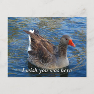 Carte Postale Je souhaite que vous étiez ici_Carte postale_par E