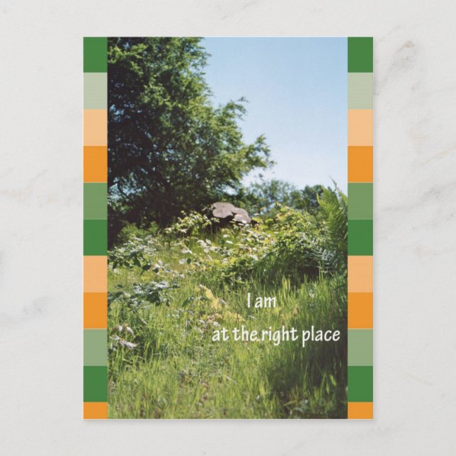 Carte Postale Je suis au bon endroit (Devant)