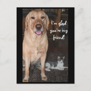 Carte Postale Je suis content que tu sois mon ami !