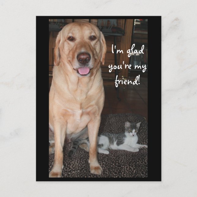 Carte Postale Je suis content que tu sois mon ami ! (Devant)