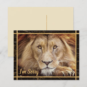 Carte Postale Je suis Désolé Photo Lion